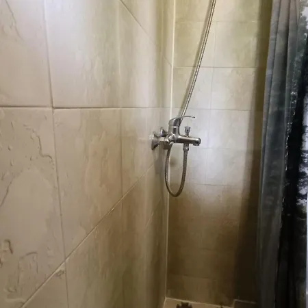 House Vlasta