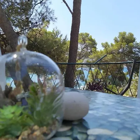 House Vlasta Ferienhaus Primošten