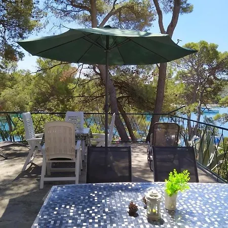 House Vlasta Holiday home