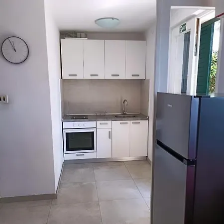 House Vlasta